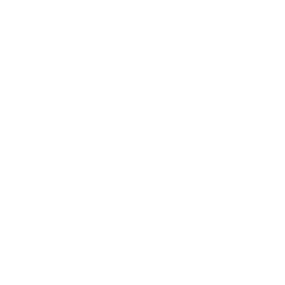 Aniffe Agency logo (white)